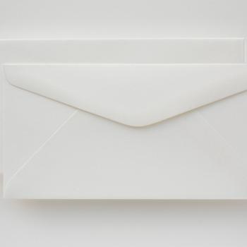 Small DL envelopes plain white pack of 10 . *